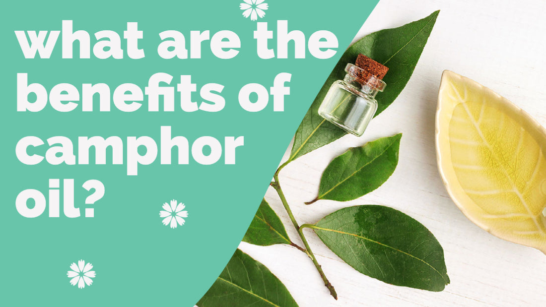 What are the benefits of camphor oil?